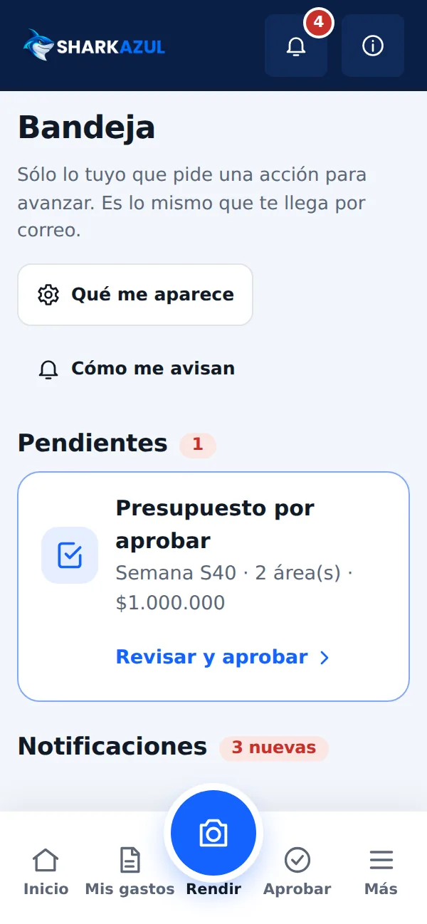 Bandeja de pendientes