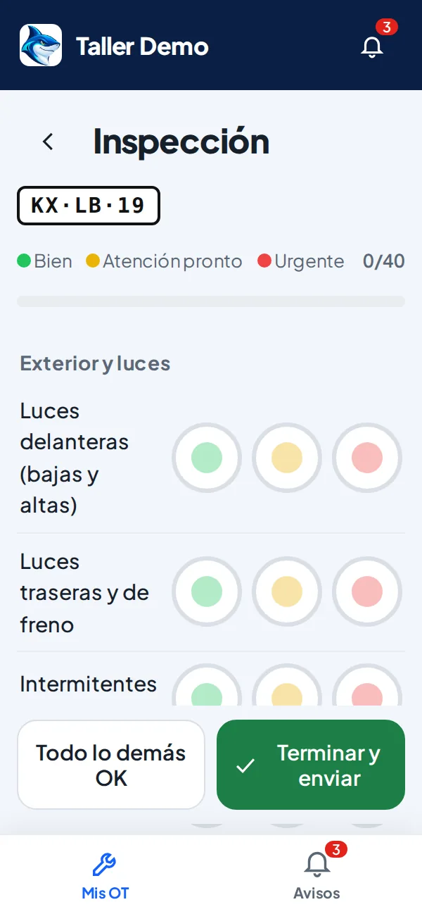 Inspección de 40 puntos